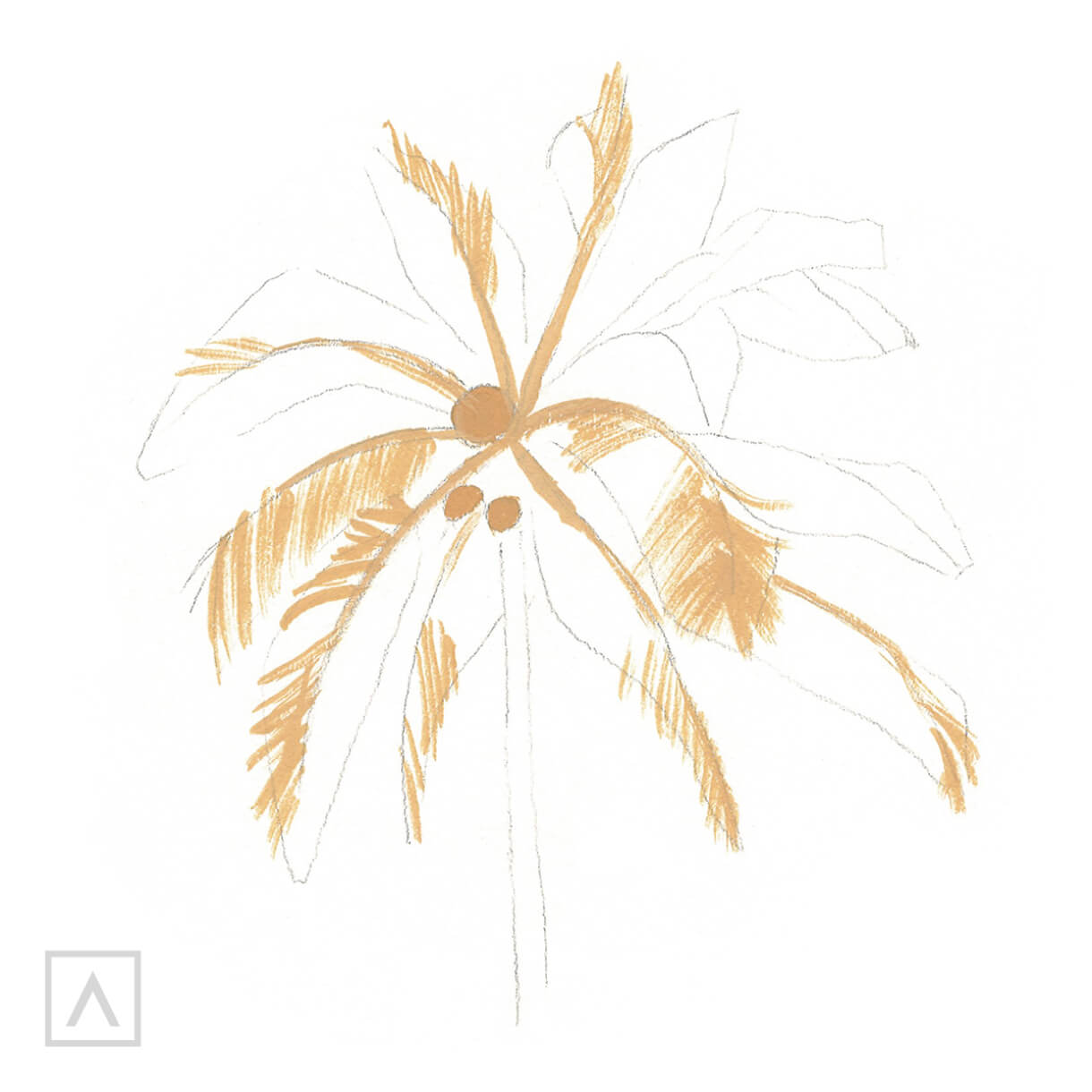 Palm drawing