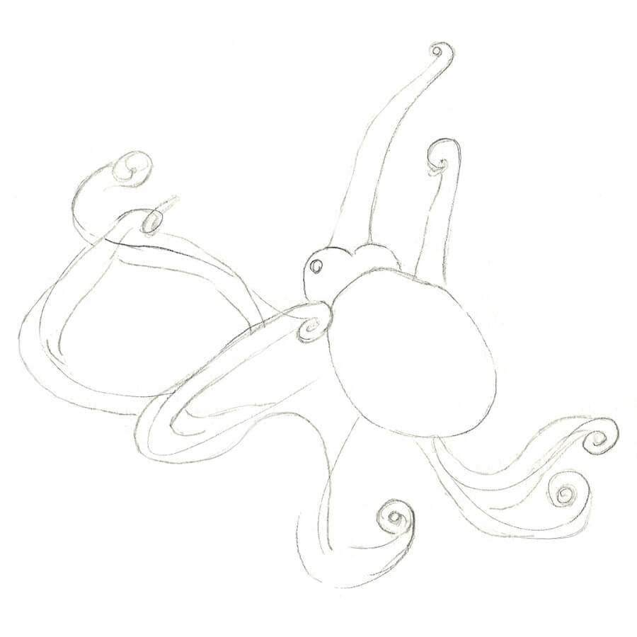 How to Draw an Octopus Arteza