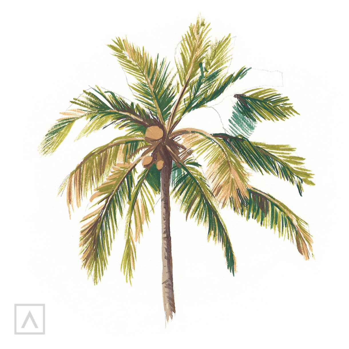 How to Draw a Palm Tree on an Island VIDEO & Step-by-Step Pictures