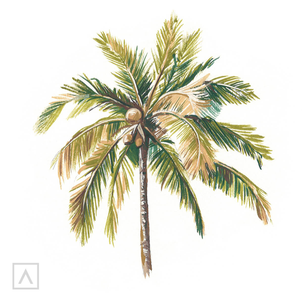 Palm tree drawing - How to draw a palm tree - Easy drawings easy
