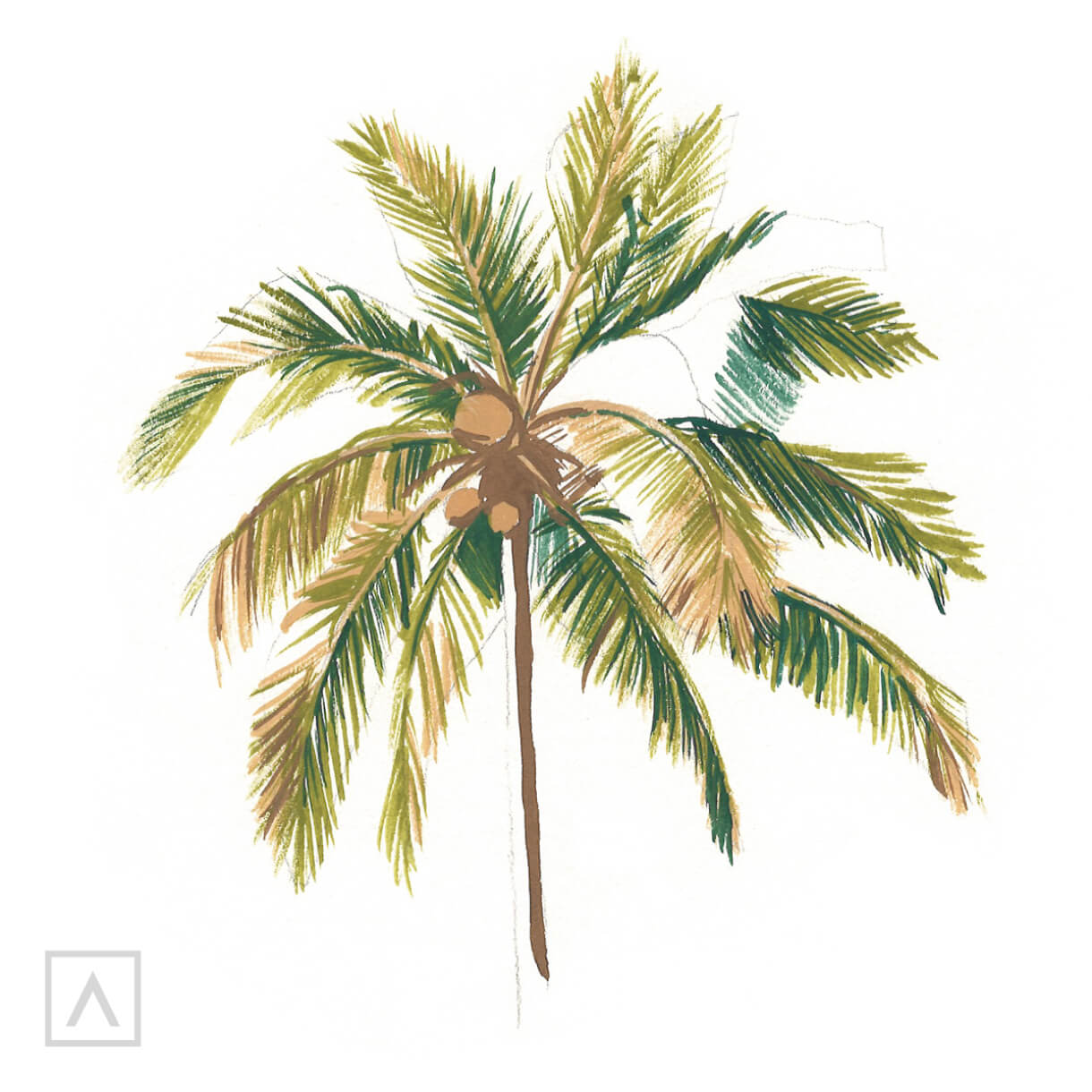 Palm drawing