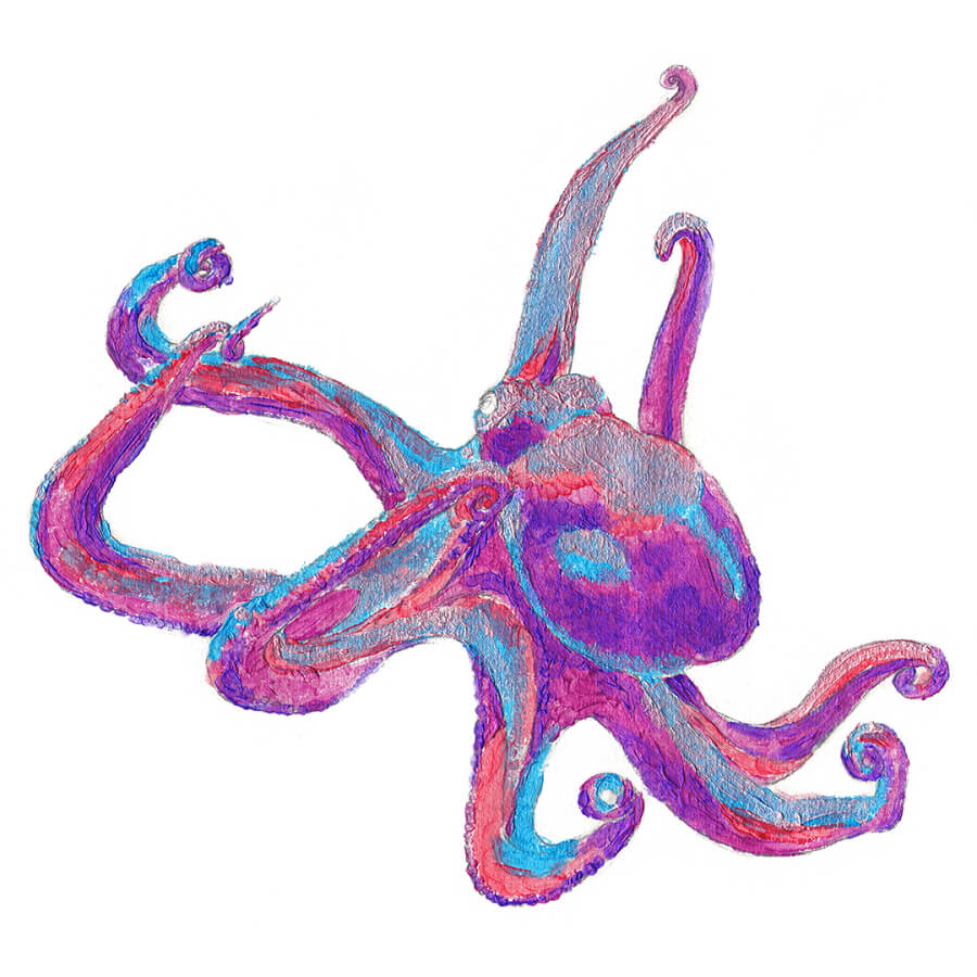 Featured image of post Octopus Drawing Realistic Color