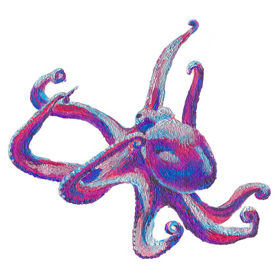 How to Draw an Octopus Arteza