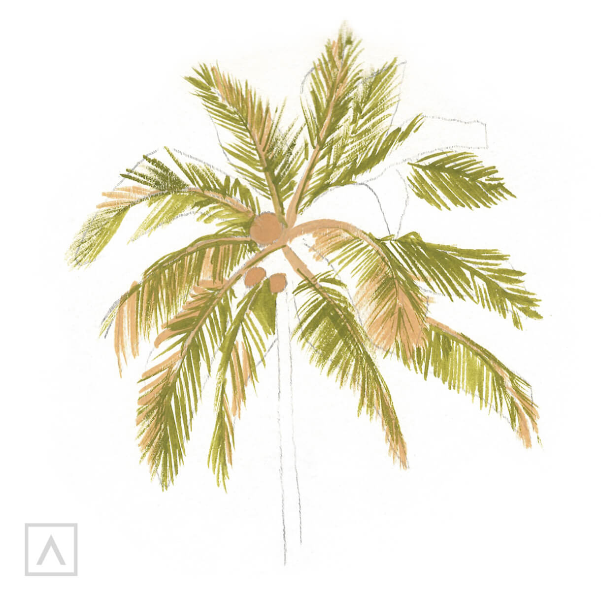 Palm drawing