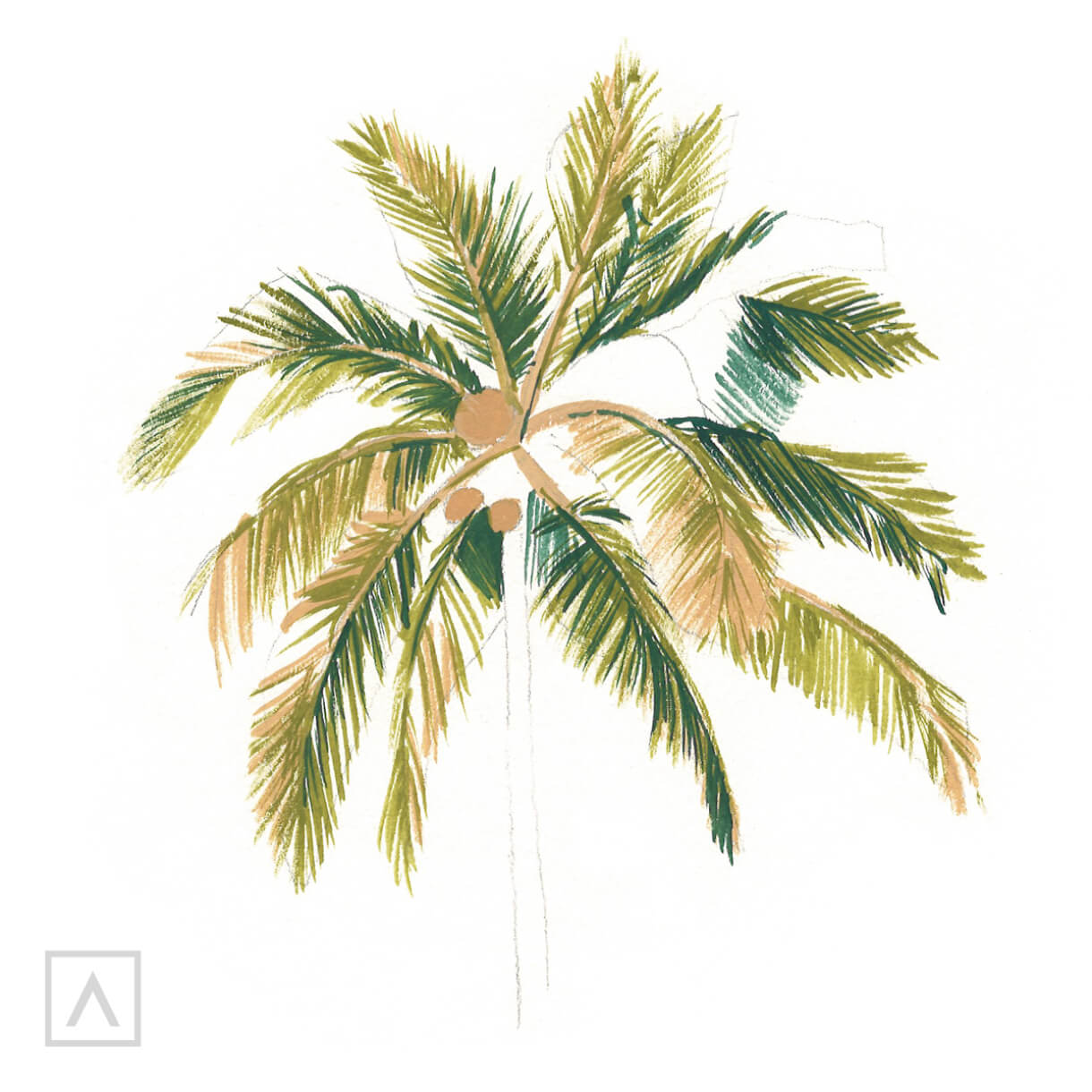 Palm drawing