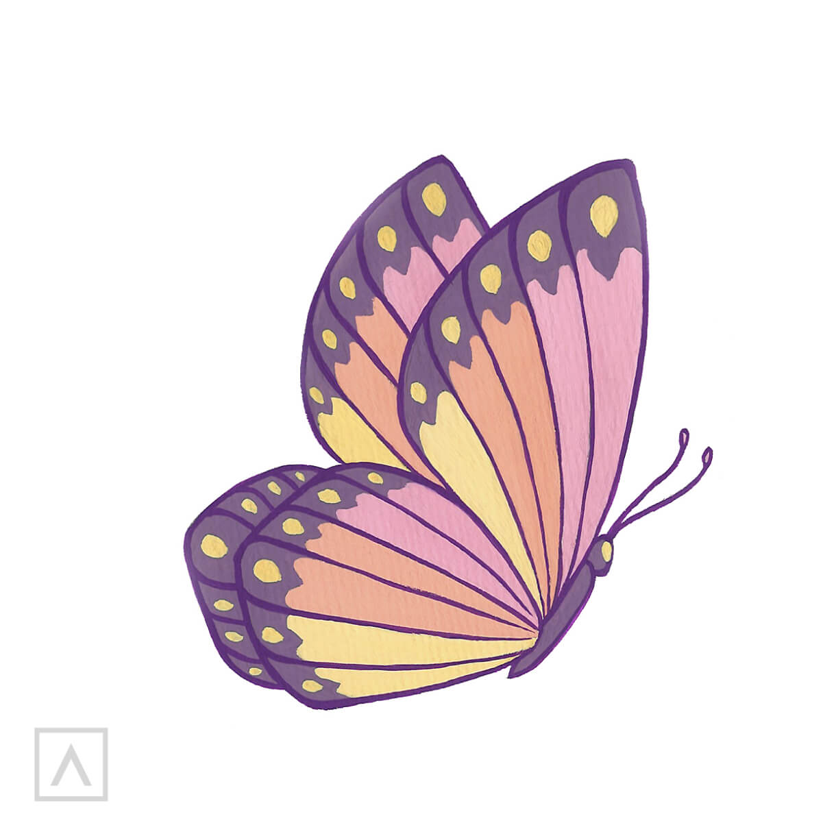 Download How To Paint A Butterfly Step By Step Arteza