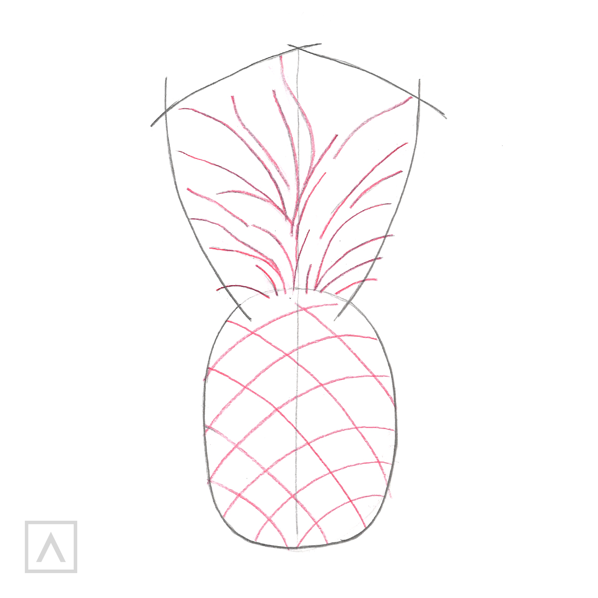 Pineapple drawing. Step 2