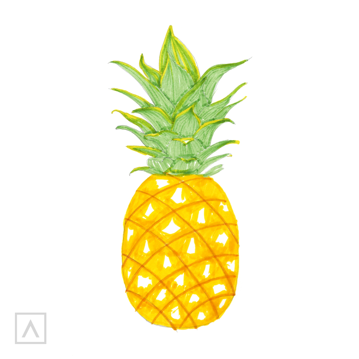 Pineapple drawing. Step 6