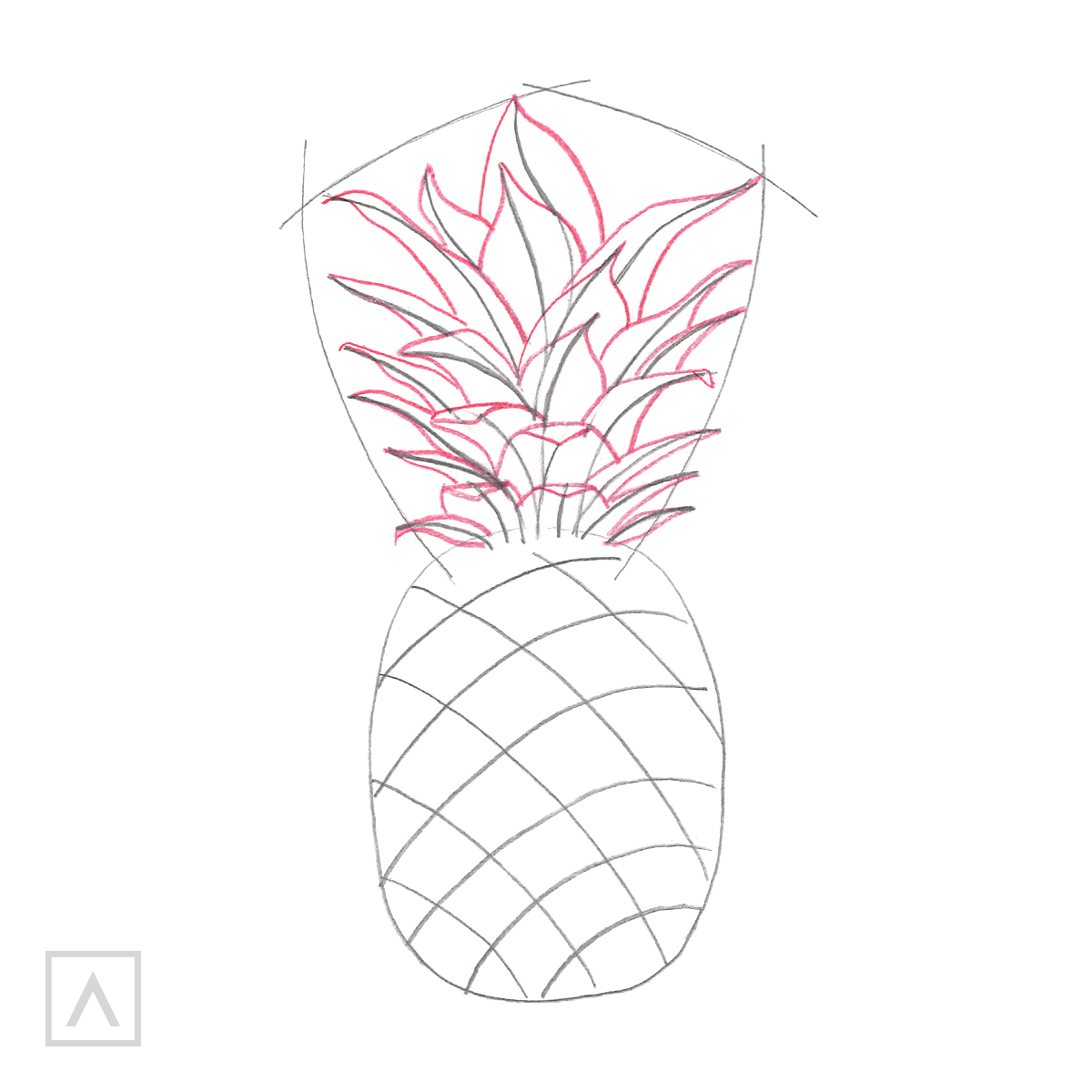 Pineapple drawing. Step 3