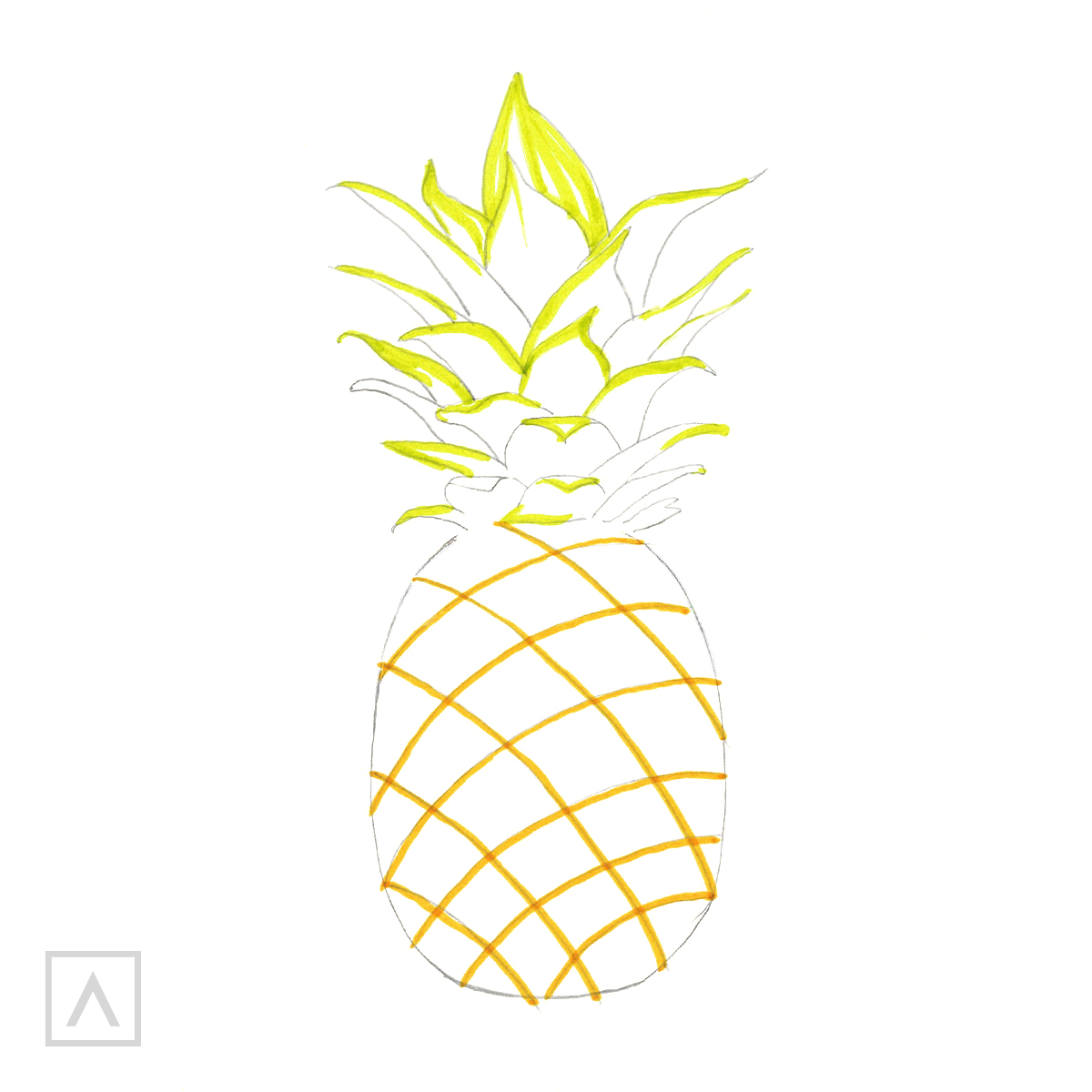 Pineapple drawing. Step 5