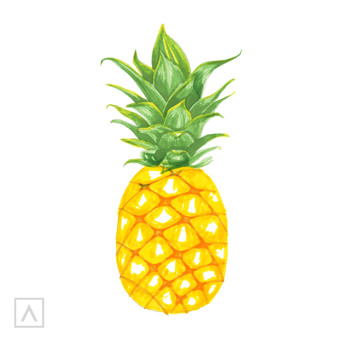 Pineapple drawing on white background Royalty Free Vector