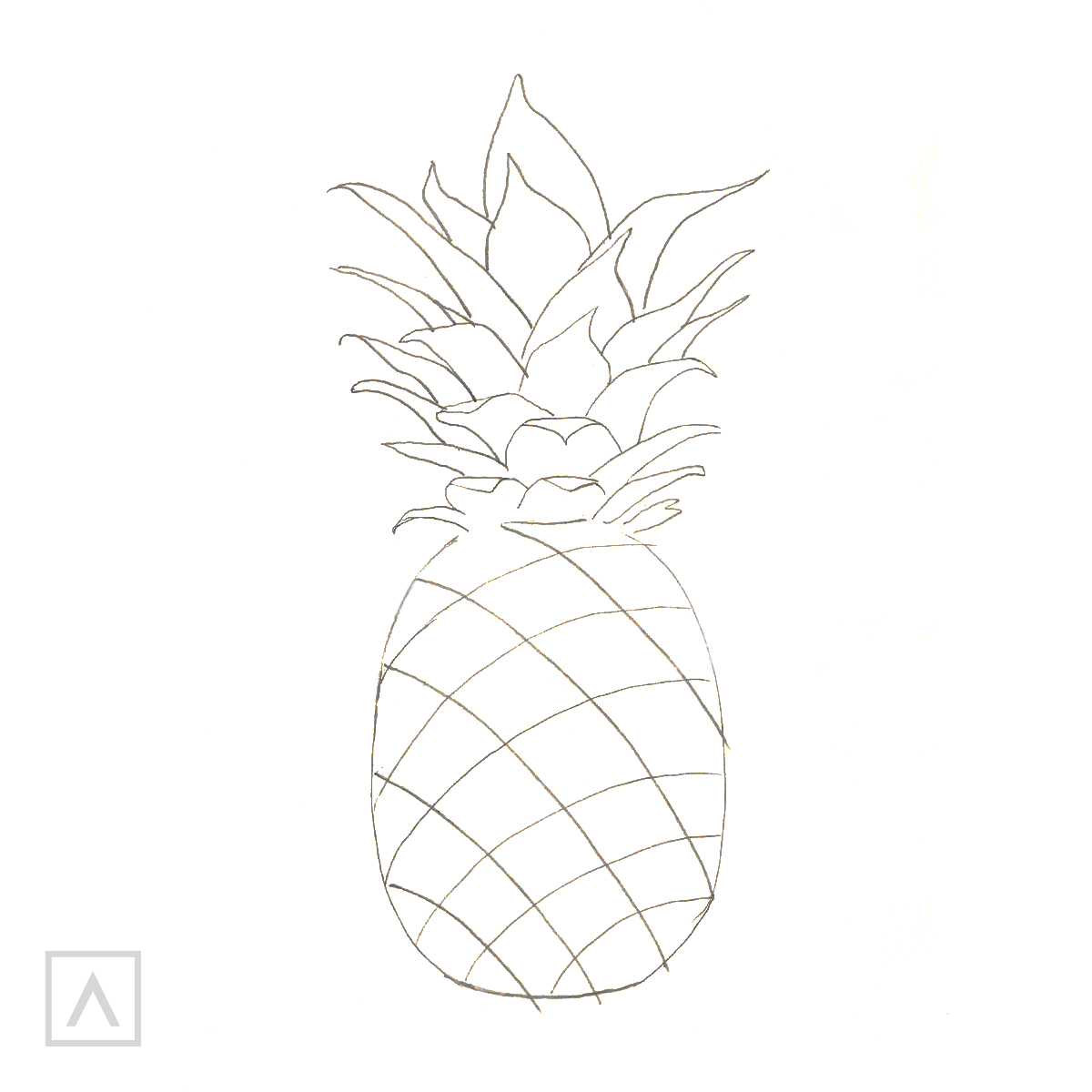 How to Draw a Pineapple  Easy Drawing Art