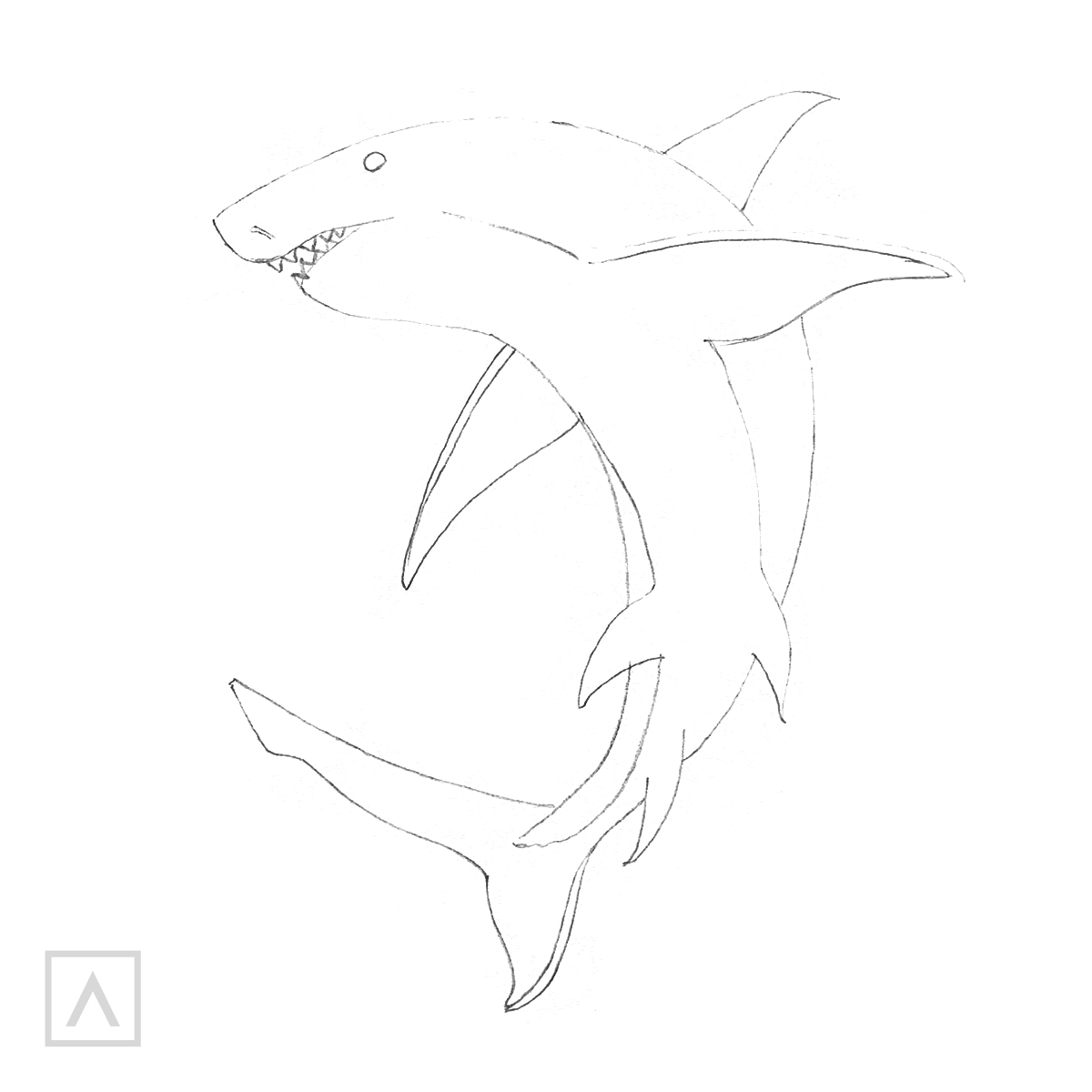 how to draw a shark step by step