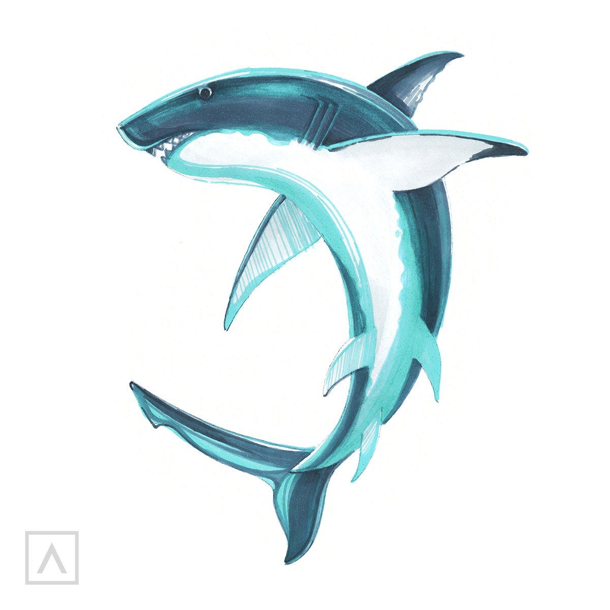 Premium Vector | Drawing of great white shark with its mouth open in the  water