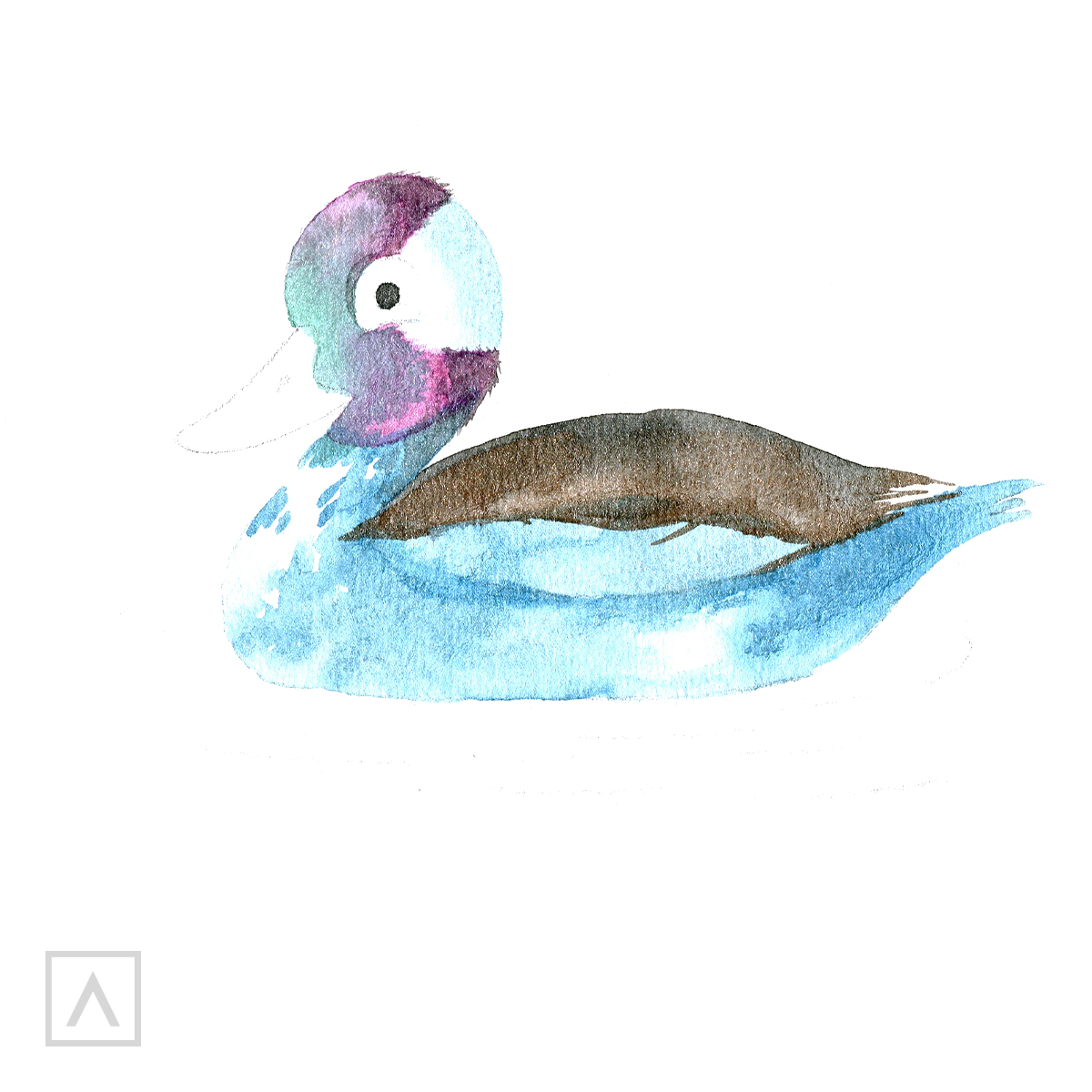 Stock Art Drawing of a Domestic Duck - inkart