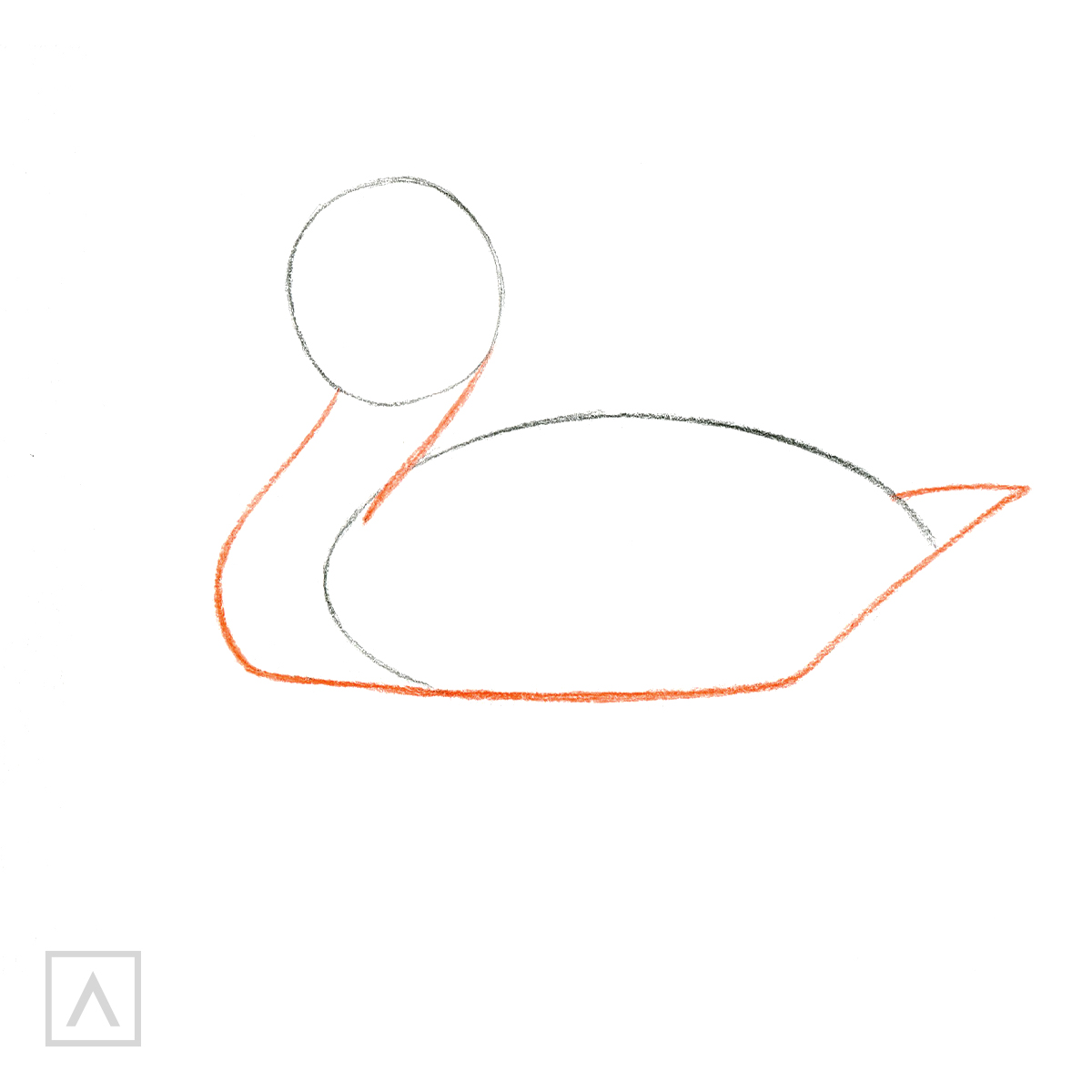 How to Draw a Duck the Easy Way  Easy 9-Step Duck Drawing –