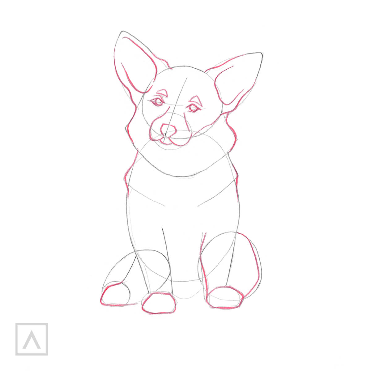 dog drawings