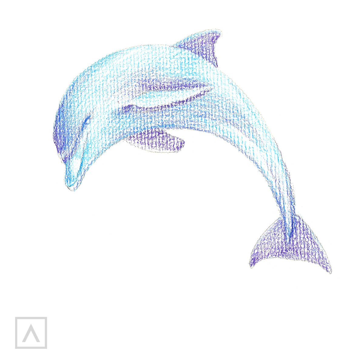 how to draw a dolphin step by step realistic