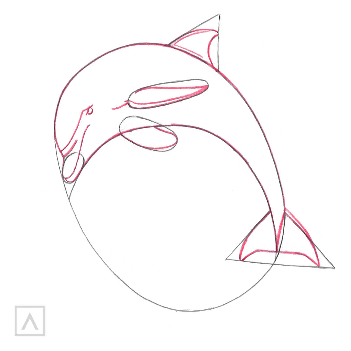 Dolphin Drawing Study by LethalChris on DeviantArt