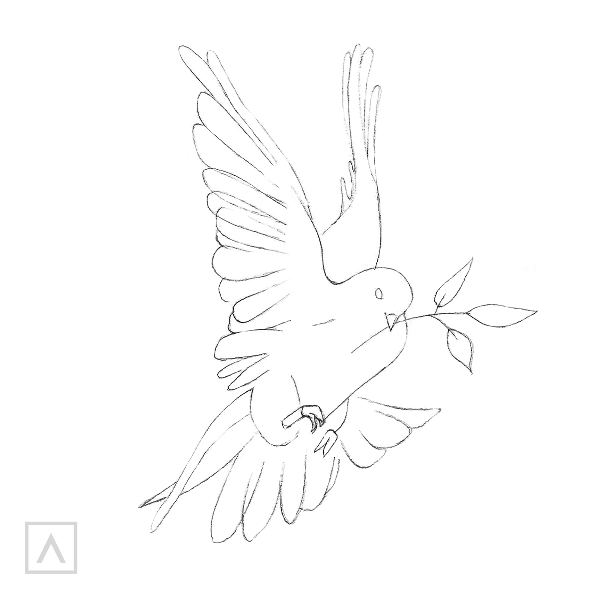 Easy Drawings Of Doves   LWc 1b0PNgbBATDg 