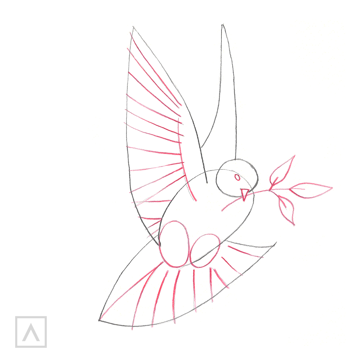 How to Draw a Dove – Arteza.com