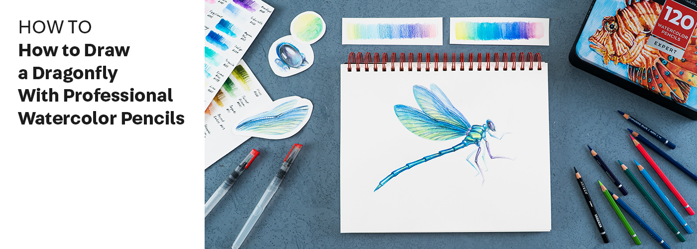 Download How To Draw A Dragonfly Arteza