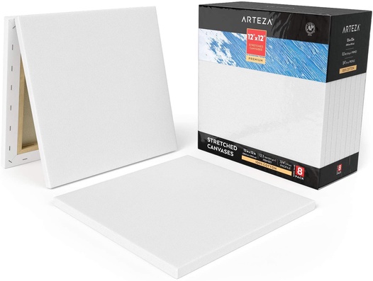 Professional Stretched Artist Canvas 6 Pack 18 in x 24 in