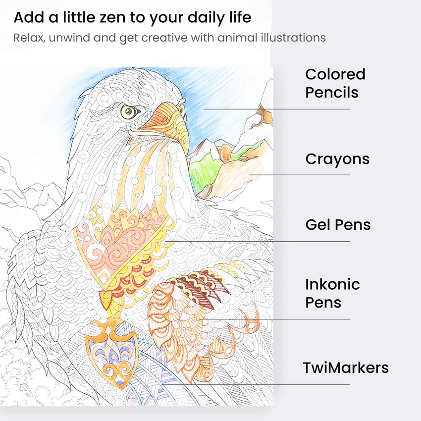 Download Coloring Book Animal Illustrations 72 Sheets Arteza